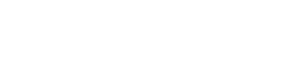 Sollus